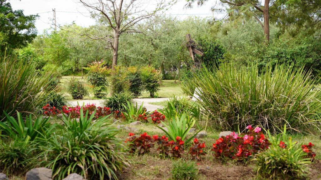 Jardín Botánico de Córdoba. Foto web.